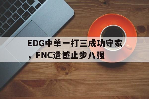 乐鱼体育-EDG中单一打三成功守家，FNC遗憾止步八强